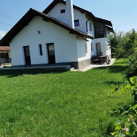 Pensiunea Alina Baia de Fier Exterior foto