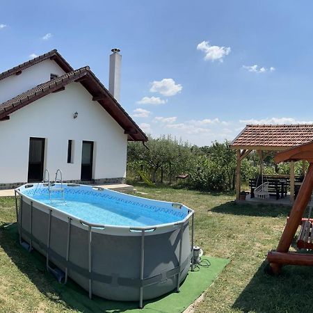 Pensiunea Alina Baia de Fier Exterior foto