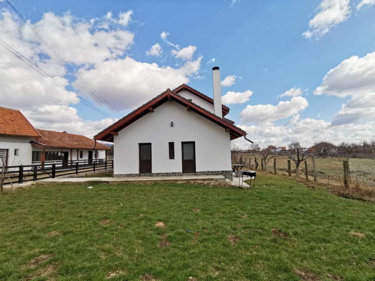 Pensiunea Alina Baia de Fier Exterior foto