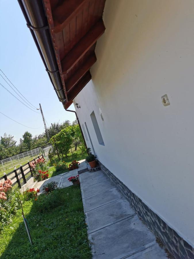 Pensiunea Alina Baia de Fier Exterior foto
