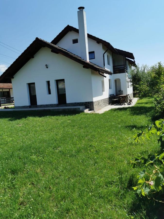 Pensiunea Alina Baia de Fier Exterior foto