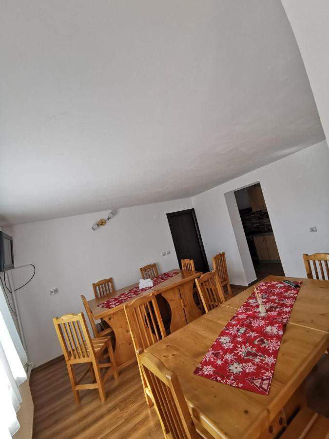 Pensiunea Alina Baia de Fier Exterior foto