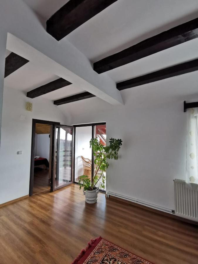 Pensiunea Alina Baia de Fier Exterior foto