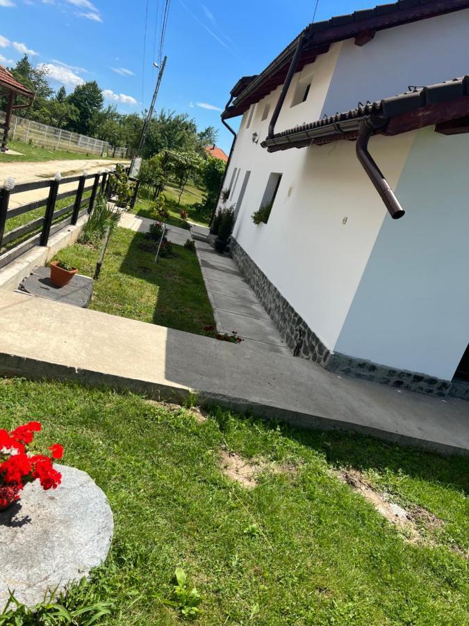 Pensiunea Alina Baia de Fier Exterior foto