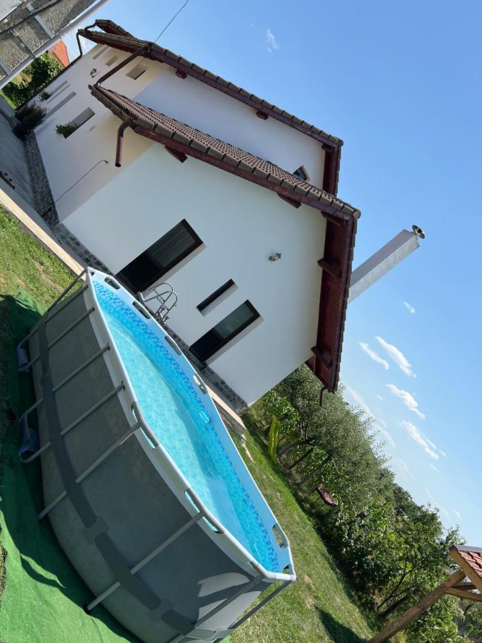 Pensiunea Alina Baia de Fier Exterior foto