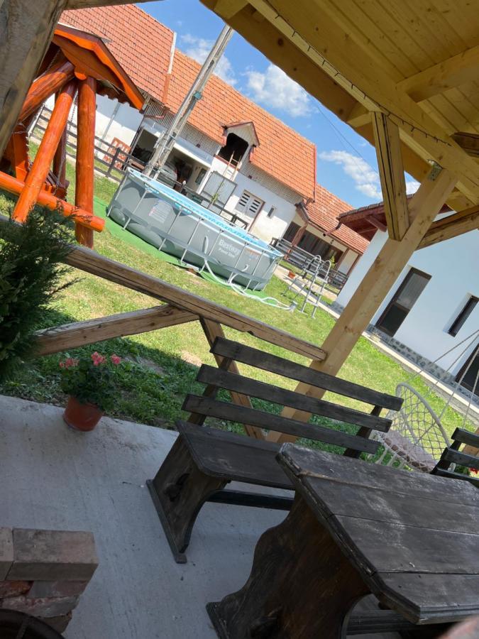 Pensiunea Alina Baia de Fier Exterior foto