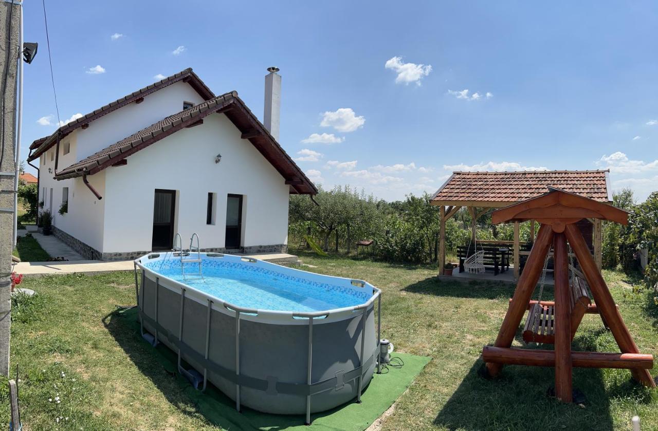 Pensiunea Alina Baia de Fier Exterior foto